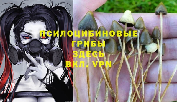спайс Арсеньев