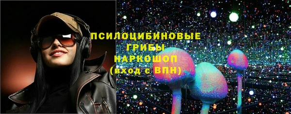 спайс Арсеньев